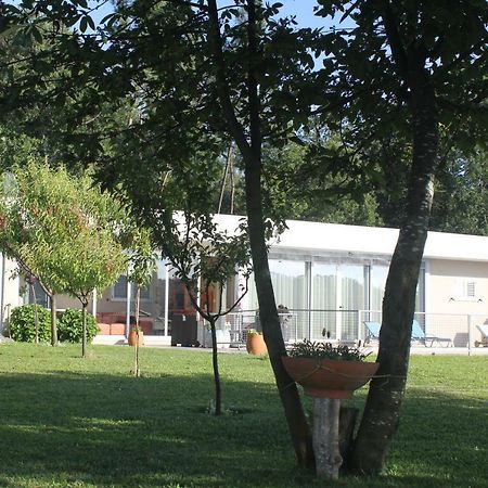 Manuel Tiago Pereira Braga Exterior foto